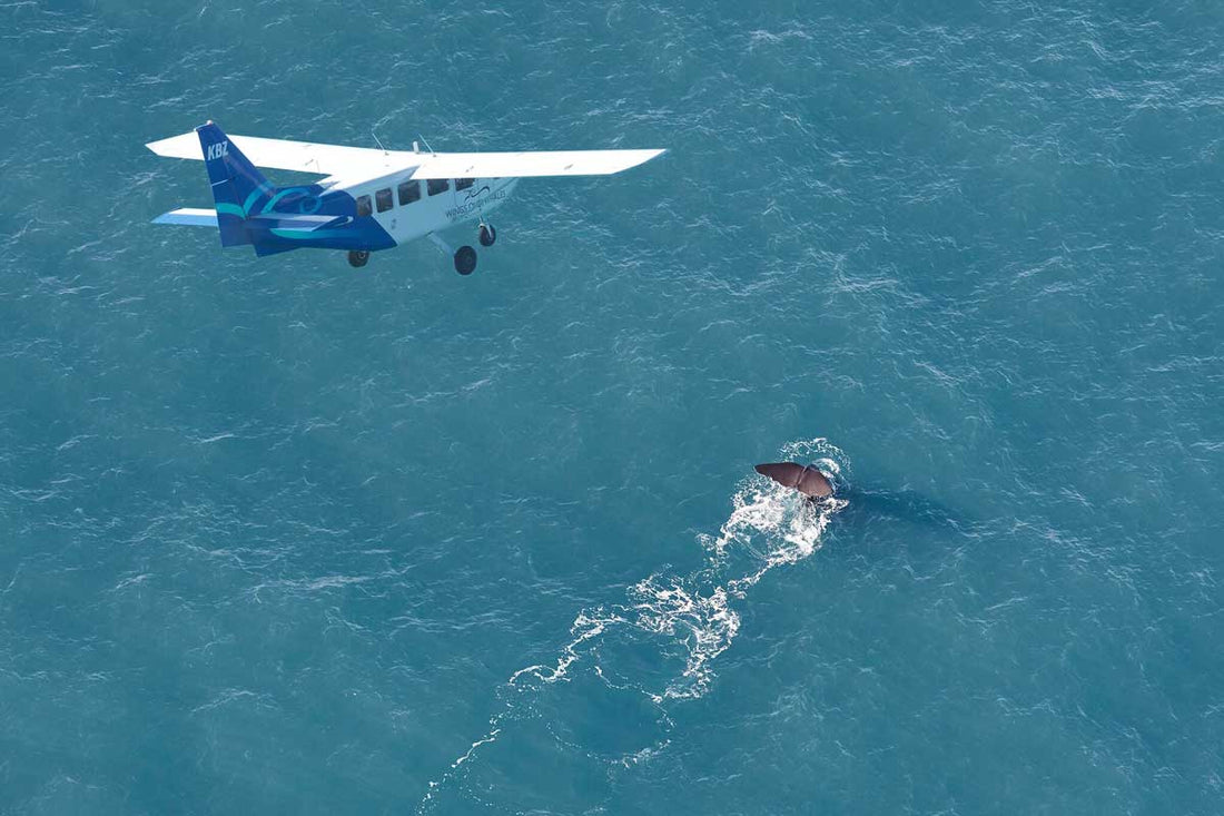 GippsAero GA8 Airvan