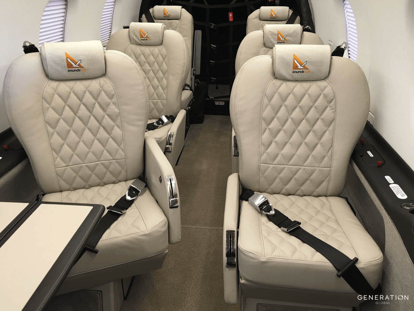 Decrane/Goodrich, Executive Series, Pax Seat Covers